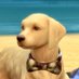 Ramuneiru+ (@ramuneiru_sims) Twitter profile photo Ramuneiru+ (@ramuneiru_sims) Twitter profile photo