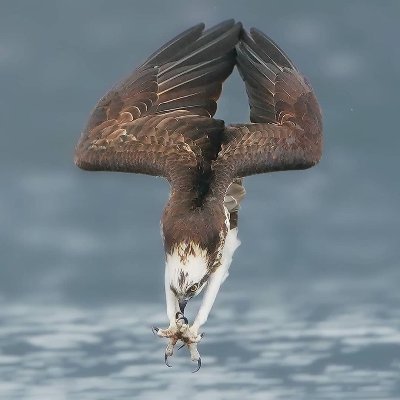 hipaful2v's profile picture. こんにちは（初めてのツイート）