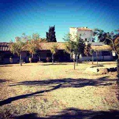 elxfhiteheao's profile picture. Facebook Garrancho Artero