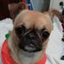 Hiroe&Mugi&Babu (@babumugi) Twitter profile photo Hiroe&Mugi&Babu (@babumugi) Twitter profile photo