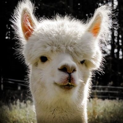 arupaka62928123's profile picture. 株3年くらいやって退場したんで低みの見物です。
六四天安門