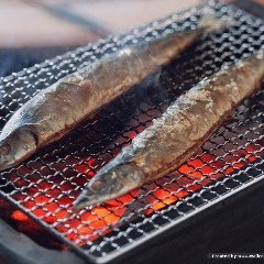 kkkarnel's profile picture. Starkiller