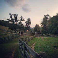 efthojasog's profile picture. 