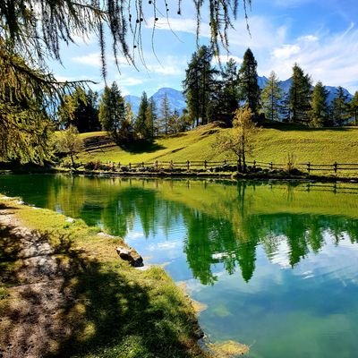 NicoleGlanzman1's profile picture. 