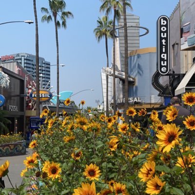 DaniaTwam's profile picture. Speech-Language Pathology Student