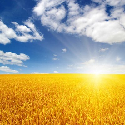 learntolove321's profile picture. 