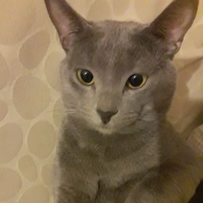 aysenb90's profile picture.