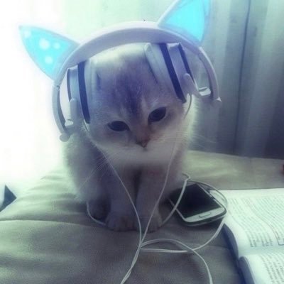 𝐯𝐞𝐧 🫐さんのプロフィール画像