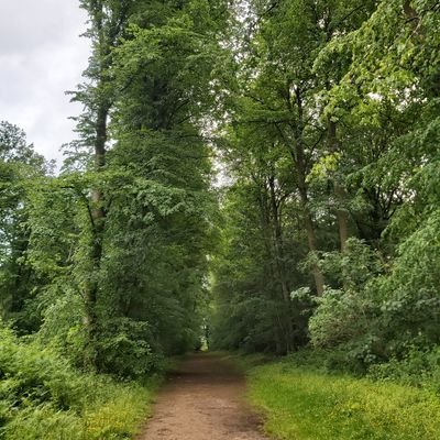 TVhandel's profile picture. Pro LGBT anti TORY 
🦖🦕Jurassic Park fan

Mostly trans stuff, uk politics and cats.