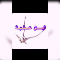 أبن عقبه (@3agbh) 's Twitter Profile Photo أبن عقبه (@3agbh) 's Twitter Profile Photo