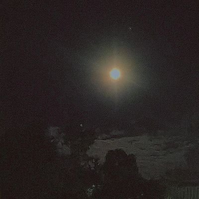 suggacrush's profile picture. 