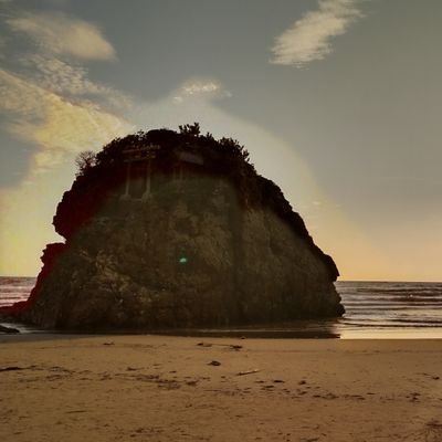 ArataChiyo's profile picture. 海と山とお酒✨