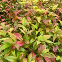 takashi (@9b084a98bee34b5) 's Twitter Profile