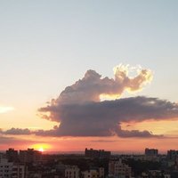 Nation_First (@nationf18291739) 's Twitter Profile
