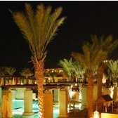 AelvinxT's profile picture. Talent get you seen / Business get you paid -Note