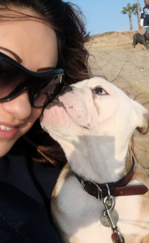 I Love Marley my Bulldog.The Vampire Diaries USC.Football.Make Up & Fashion.JLo.Bob Marley.Adele.Sade.Jazz