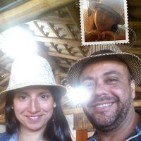 Carlos Oliveira U (@carlos0512ftmo) 's Twitter Profile