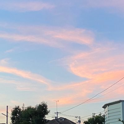 finllnif's profile picture. 