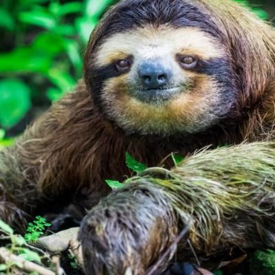 AdrianDiezGonza's profile picture. 