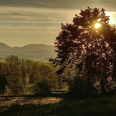 alexsoullard's profile picture. Libraire à Cholet (49). Protestantisme, histoire, philosophie, éthique, régionalisme...        Librairie ouverte du jeudi au samedi de 14h à 19h.