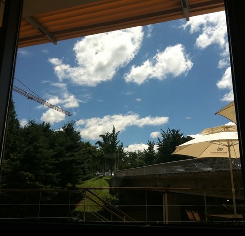 raiztwt's profile picture. 