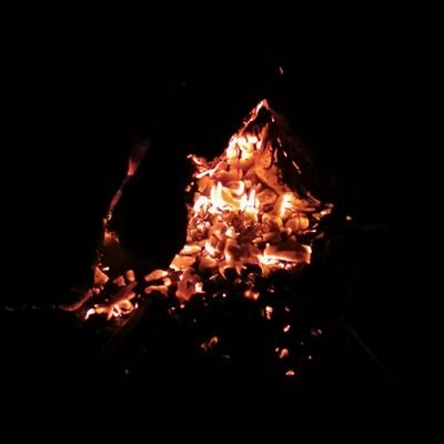 Thenotmay's profile picture. 