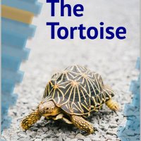 tortoise_books(@tortoise_books) 's Twitter Profile Photo