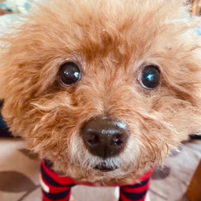 ひろこさんのプロフィール画像