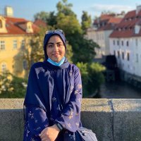 Mahsa Shahshahani (@_mshahshahani) 's Twitter Profile