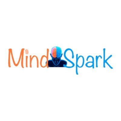 Mind Spark is one the best place that provides DMIT and counseling classes for children.