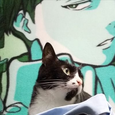 LE ( 눈_눈 )(눙_눙*)
成人済です/無言フォロー失礼します💦