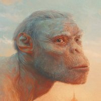 Sam Spratt(@SamSpratt) 's Twitter Profile Photo