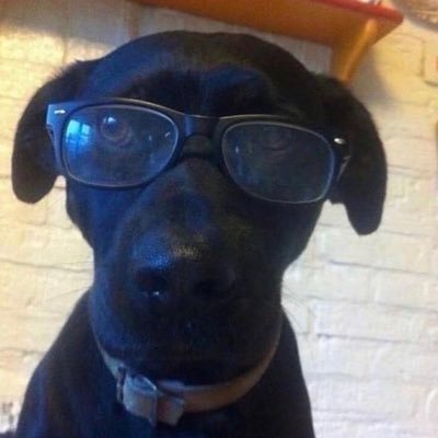 jacobmuah's profile picture. 