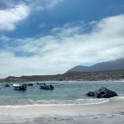 Mujer, mamá, hija, tía, hermana.