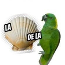 Vengo de vuelta, agradecido de la vida y todos los tesoros y cargas que me ha entregado, con conciencia social, privilegiado consiente y con Alma