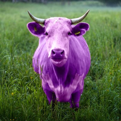 Admirer of Purple Cows, Tater Tot Farmer, Husband, Dad, Poppa, Crime Solver, Piano Student