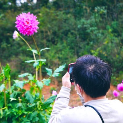 Tatsuya_desushi's profile picture. 