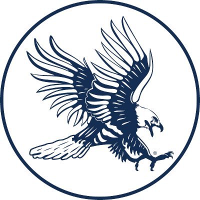 dsubluehawks Profile Picture