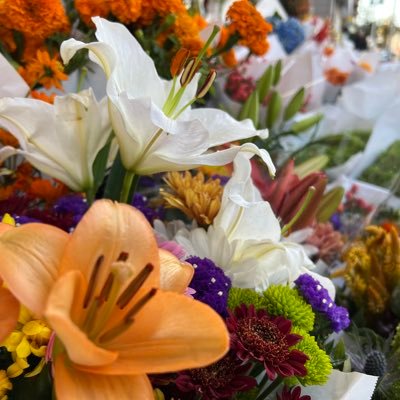 _SATORRI_'s profile picture. +