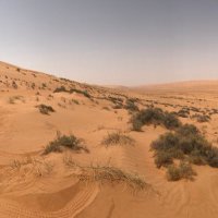 - (@shr_6800) Twitter profile photo