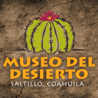 museodeldesiert Profile Picture