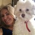 Janice Phillips (@nevada2856) Twitter profile photo Janice Phillips (@nevada2856) Twitter profile photo