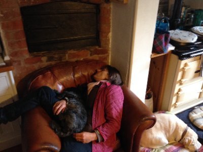 LindseyA39's profile picture. 