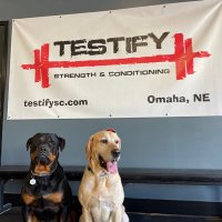 Testify Strength & Conditioning(@TestifySC) 's Twitter Profile Photo