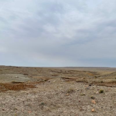 LouMntn's profile picture. If not me, then who? If not now, then when?