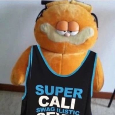 super cali swagilistic sexy hella dopeness - got noticed by garfield 22 times! and he liked my reply once :)