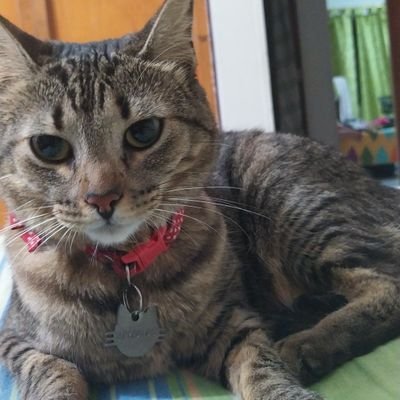 EmmanuelVillad3's profile picture. 