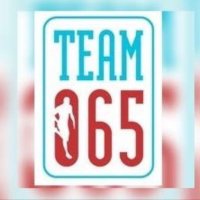 TEAM065 (@team065) 's Twitter Profile