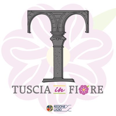 tusciainfiore Profile Picture