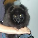 David Reedy - @ramblerdambler - Twitter